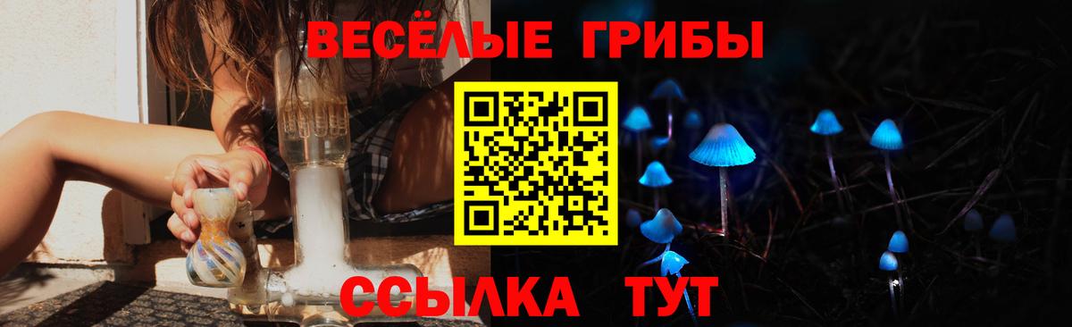 Псилоцибиновые грибы Cubensis Назарово